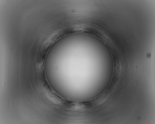 X0000112360601200908201505