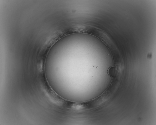 X0000112360602200908201505