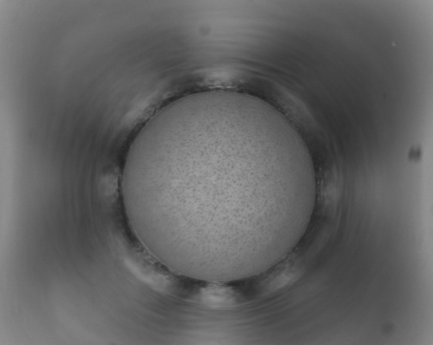 X0000112360603200908201505