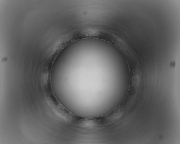 X0000112360604200908201505