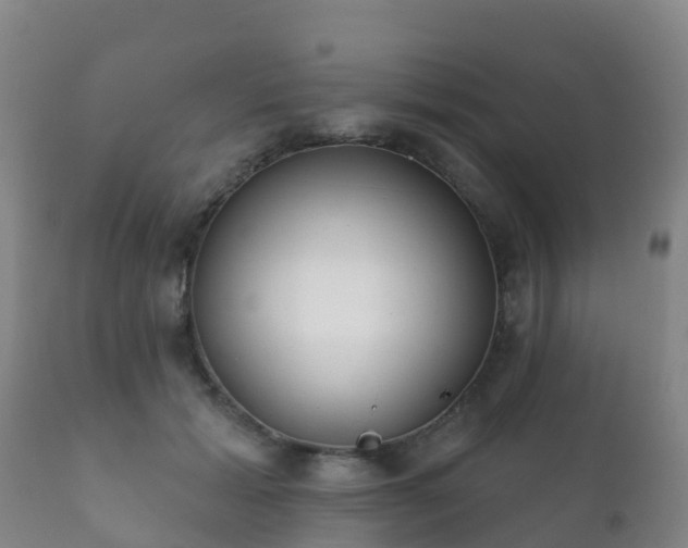 X0000112360605200908201505