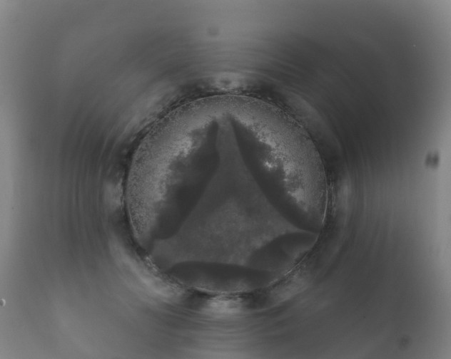 X0000112360606200908201505