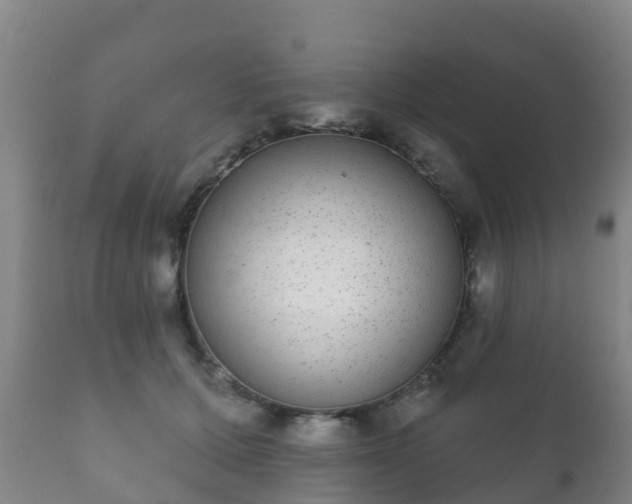 X0000112360607200908201505