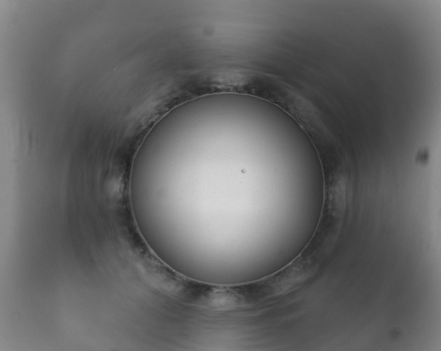 X0000112360608200908201505