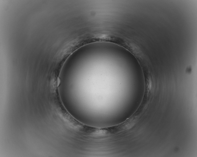 X0000112360609200908201505