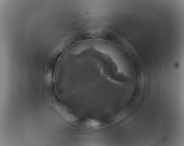 X0000112360610200908201505