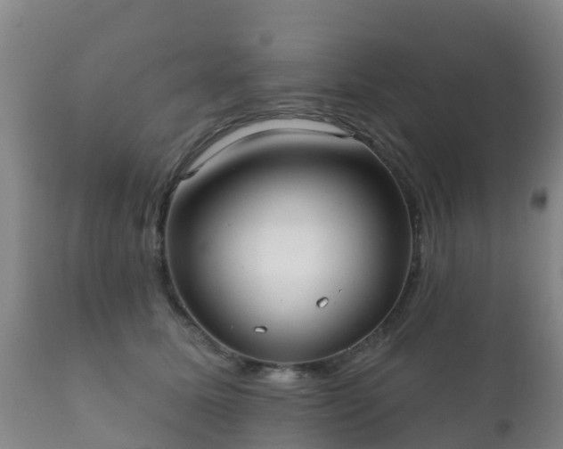 X0000112360611200908201504