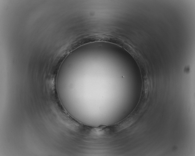 X0000112360613200908201504