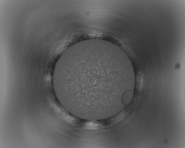 X0000112360614200908201504