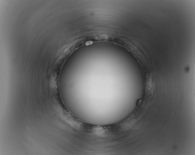 X0000112360616200908201504