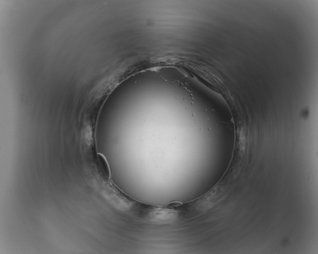 X0000112360617200908201504