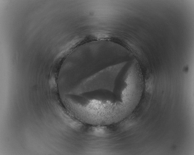 X0000112360618200908201504