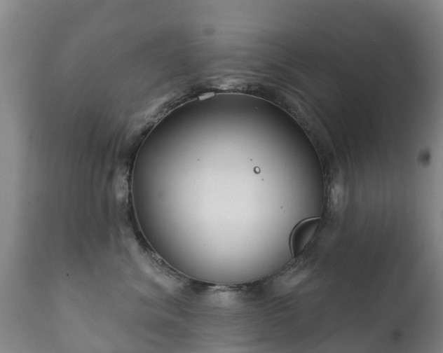 X0000112360620200908201504