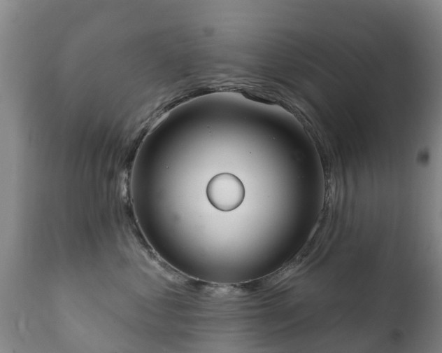 X0000112360621200908201504