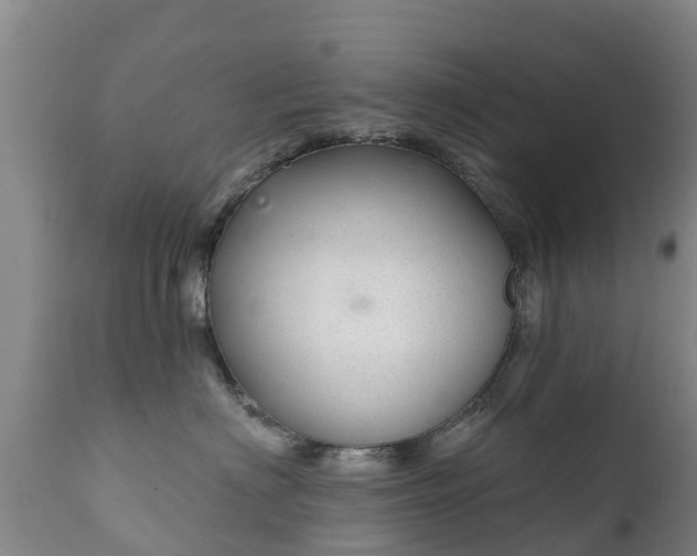 X0000112360622200908201504