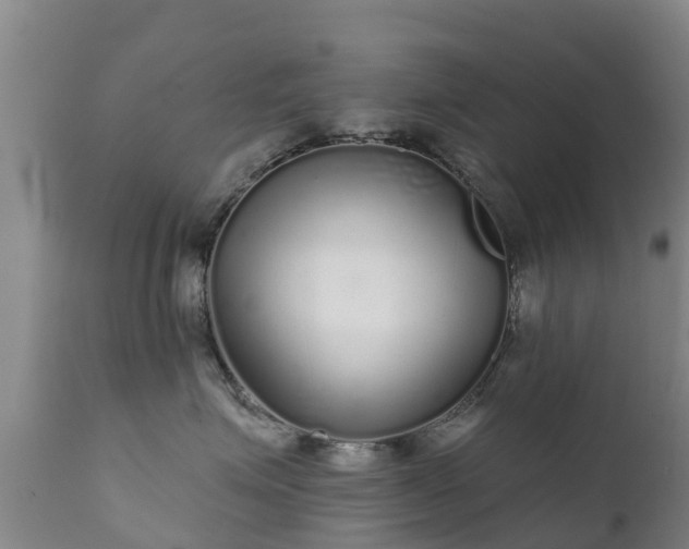 X0000112360623200908201504