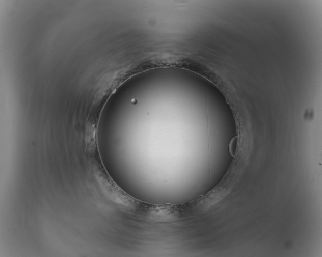 X0000112360624200908201504