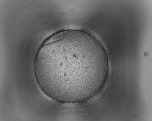 X0000112360625200908201504