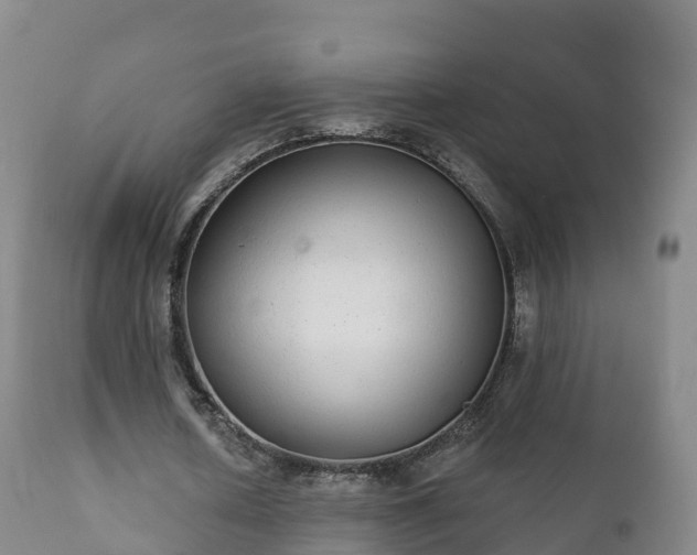 X0000112360626200908201504