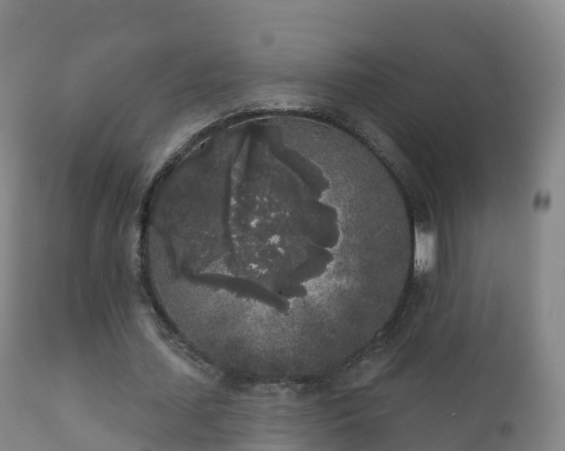 X0000112360627200908201504