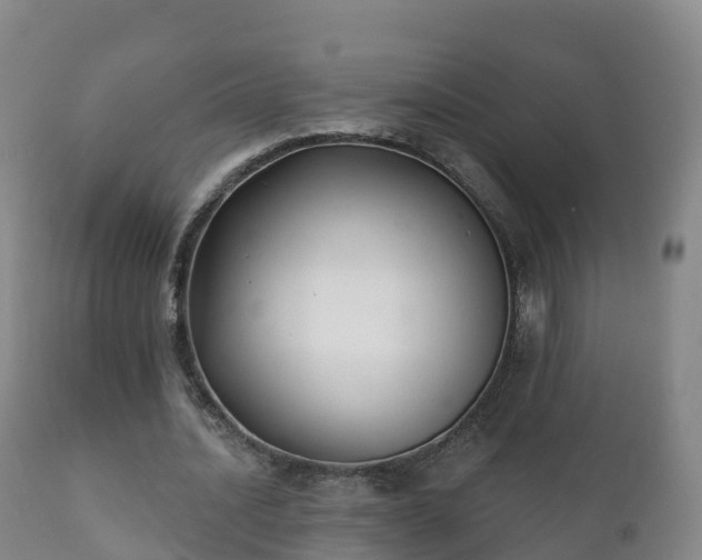 X0000112360628200908201504