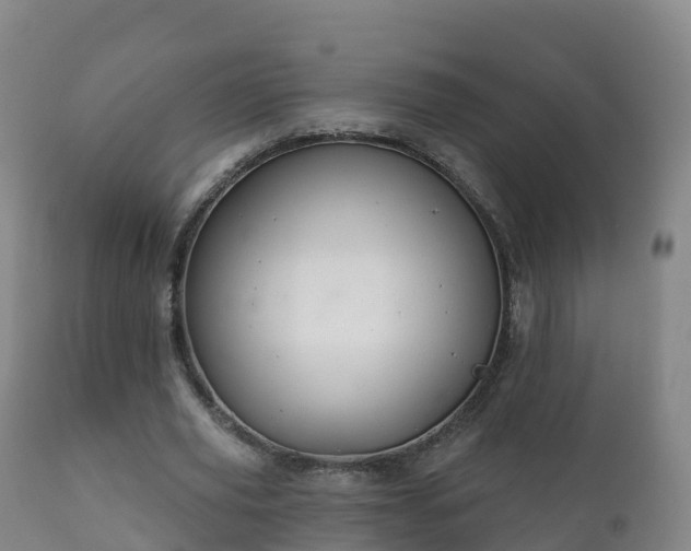 X0000112360629200908201504