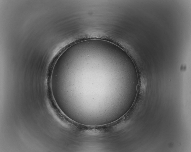 X0000112360630200908201504