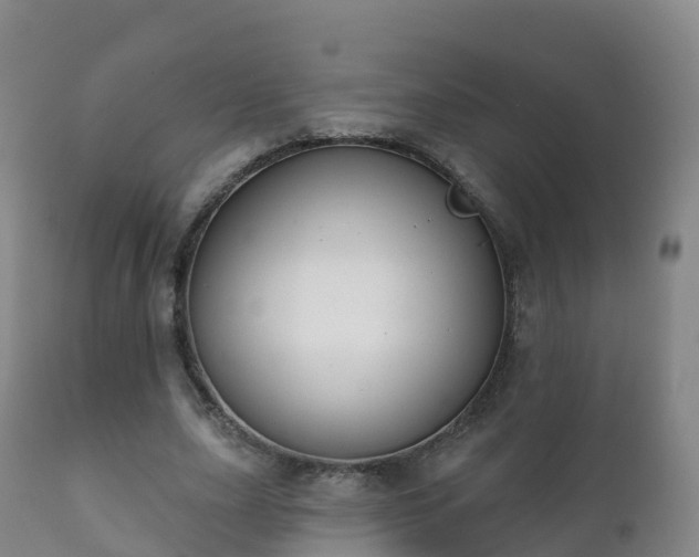 X0000112360631200908201504