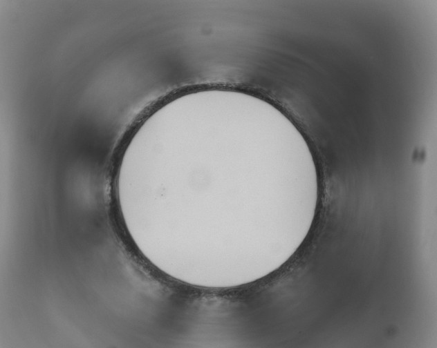 X0000112360632200908201504