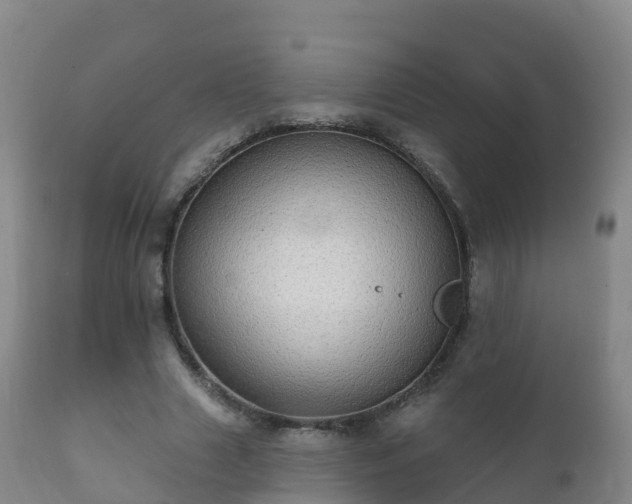 X0000112360633200908201504