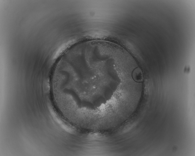 X0000112360634200908201504