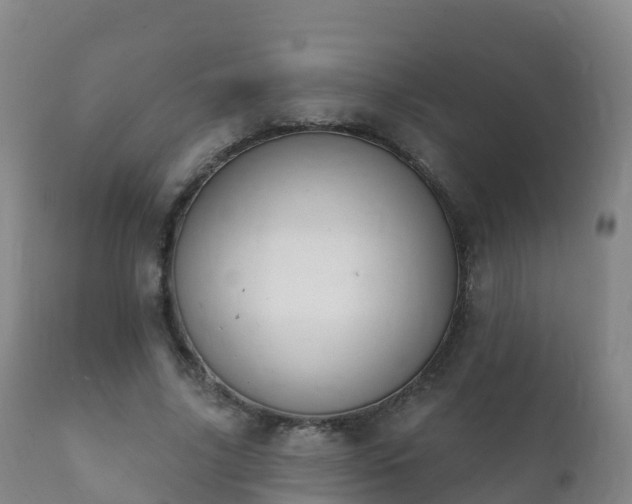 X0000112360635200908201504