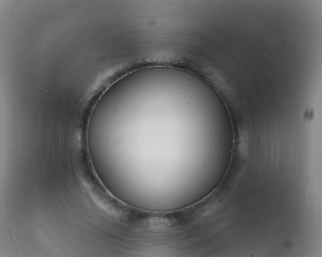 X0000112360636200908201504