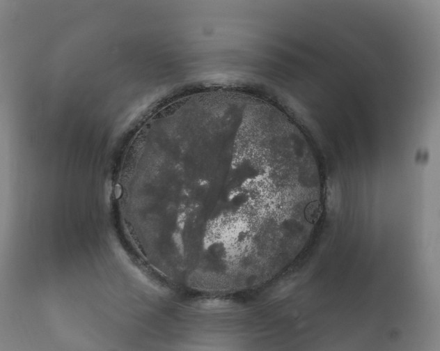 X0000112360637200908201504