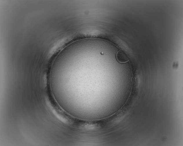 X0000112360638200908201504