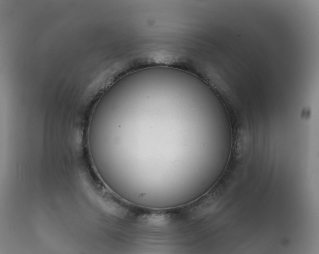 X0000112360639200908201504