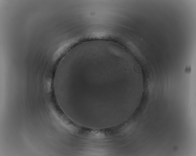 X0000112360640200908201504