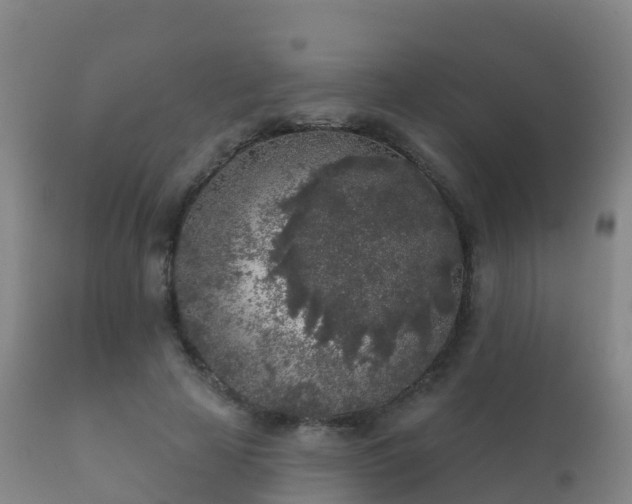 X0000112360641200908201504