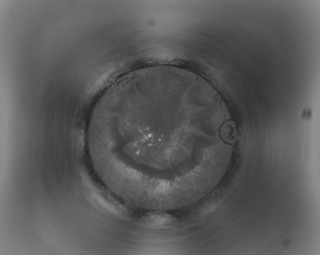 X0000112360642200908201504