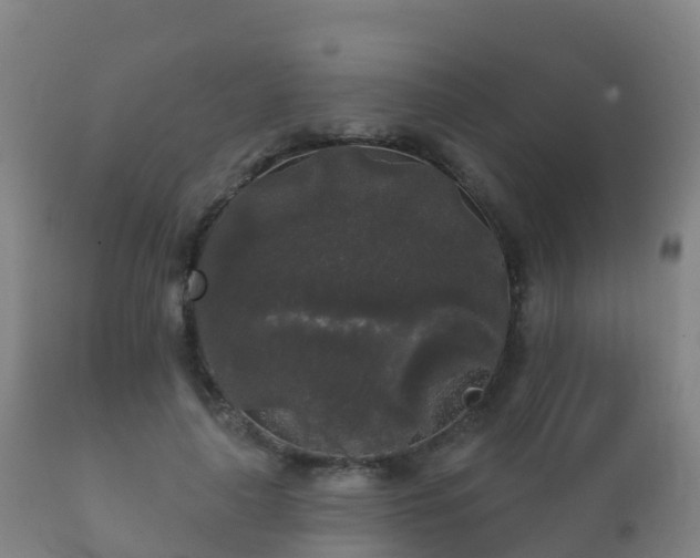 X0000112360643200908201504