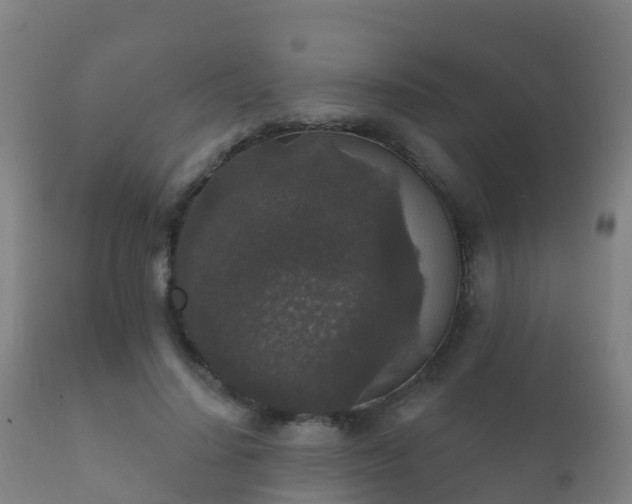 X0000112360644200908201504