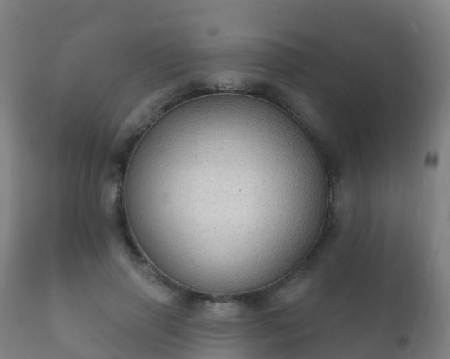 X0000112360645200908201504