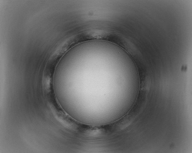 X0000112360646200908201504