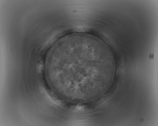 X0000112360647200908201504