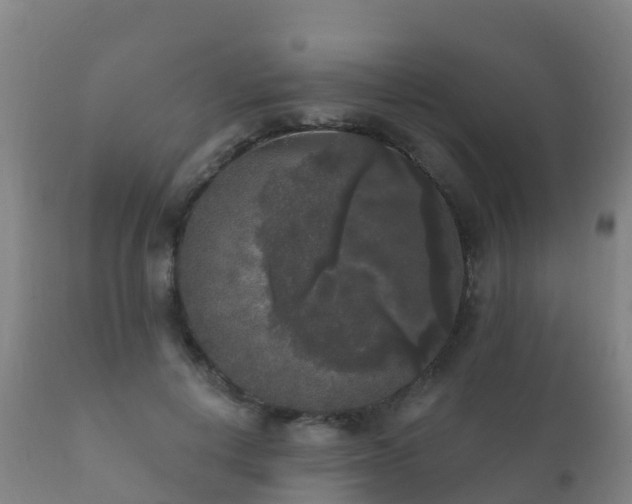 X0000112360648200908201504