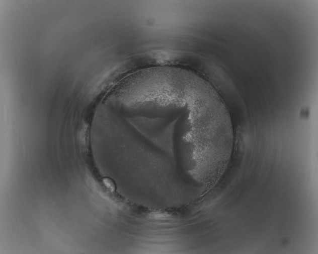 X0000112360650200908201504