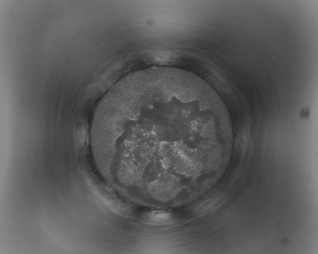 X0000112360651200908201504