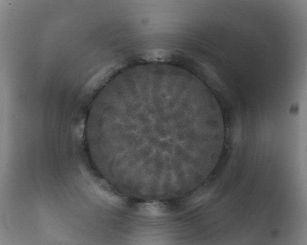 X0000112360652200908201504