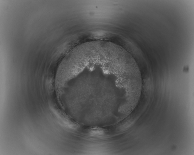 X0000112360653200908201504