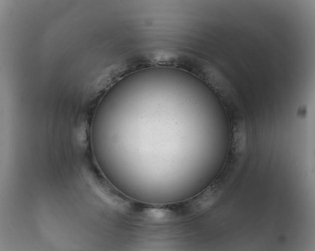 X0000112360654200908201504